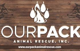 OurPack_Vector