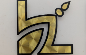 PXL_20241023_131334066